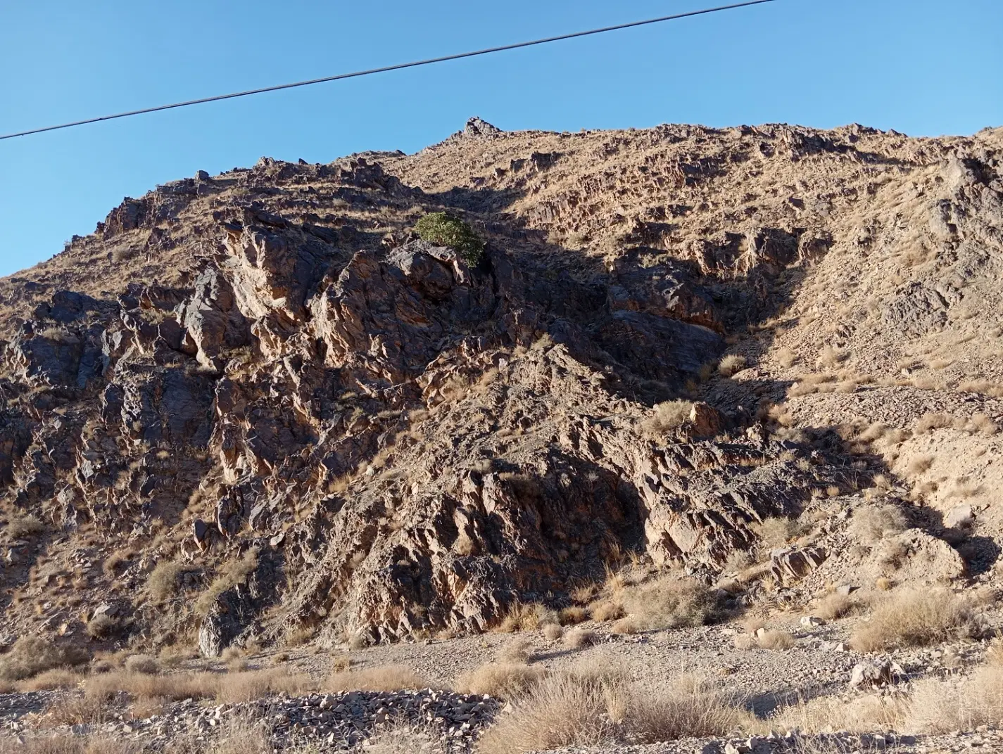زمین