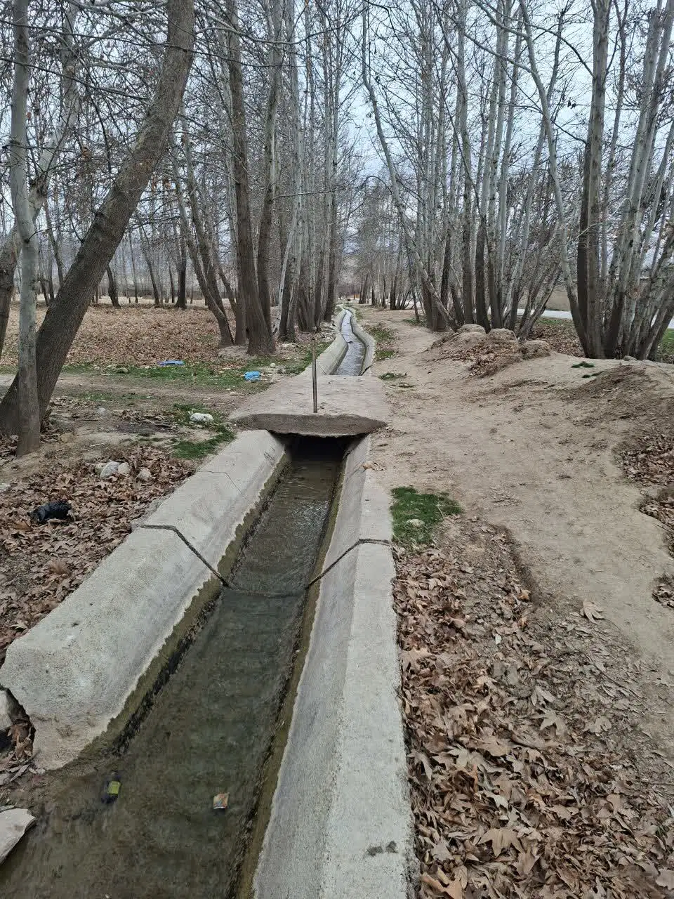 باغچه