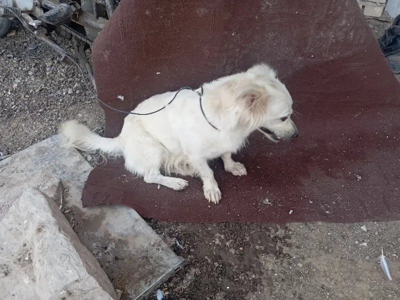 خرمشهر
