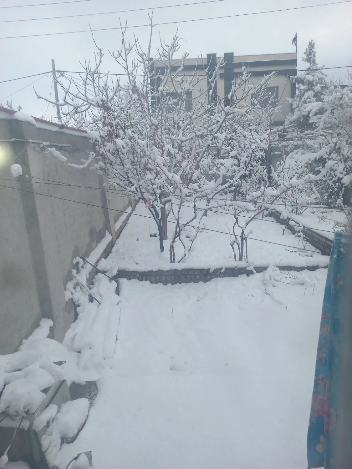 قطعه زمین 250متری کمربندی