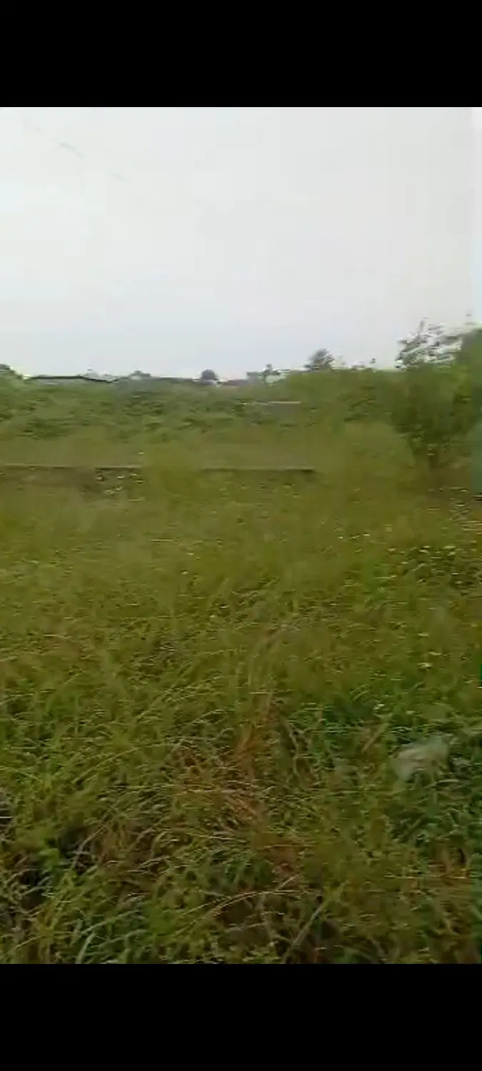 زمین در نوشهر