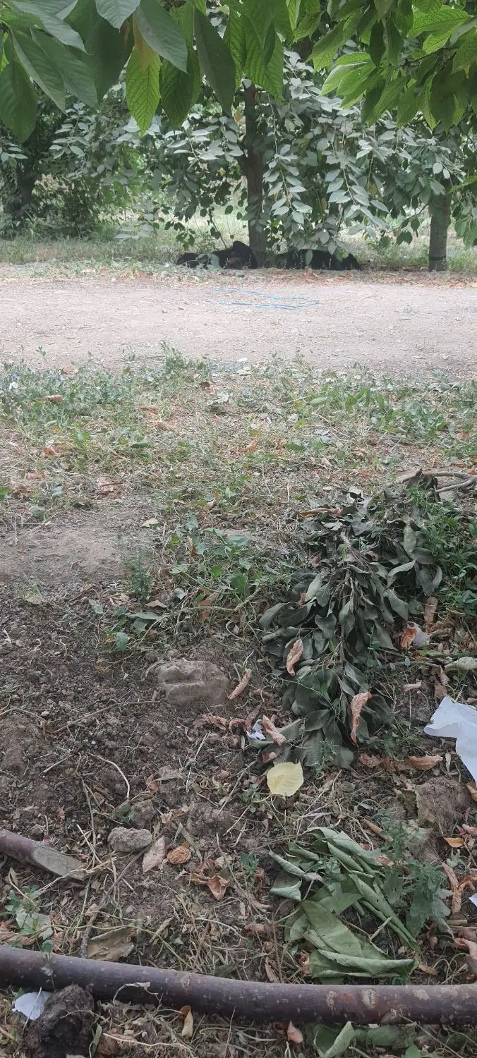 گوهردشت۶۳۰متر زمین بلند مرتبه سازی شهرک کوثر