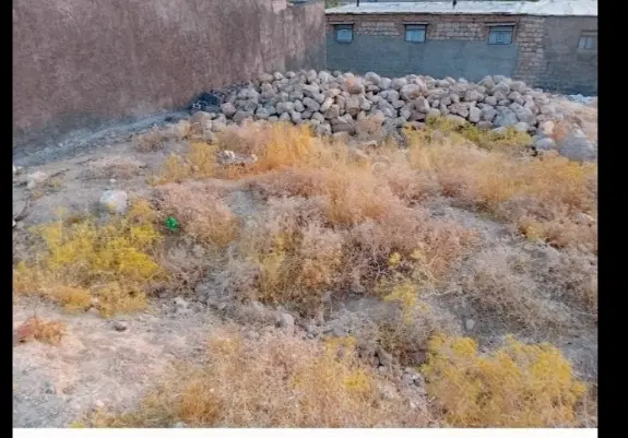 ۱۵۰متر زمین درروستای چالانچی