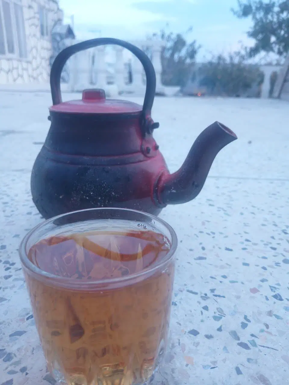 باغ نهضت اباد