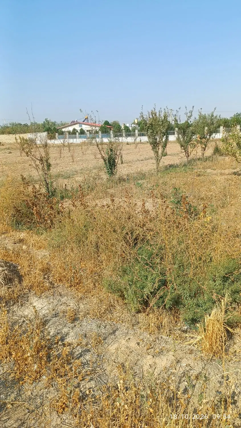 زمین جاده تهران ۱۰۰۰متر