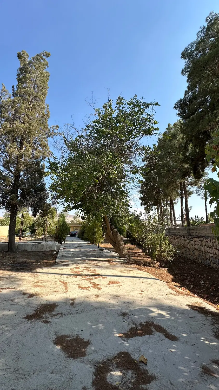 باغ شخصی تفیفهان