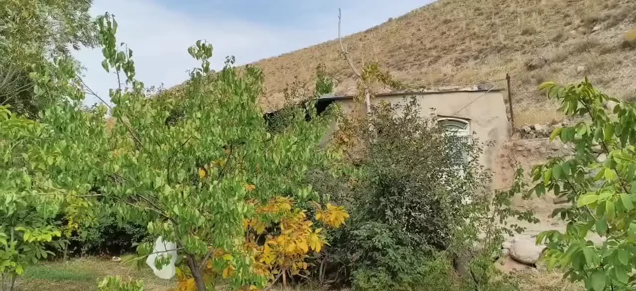 باغ حصار شده