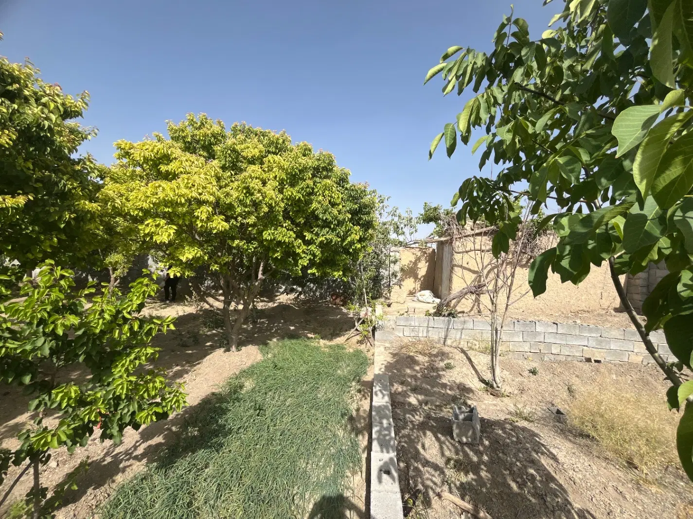باغ ناژوان