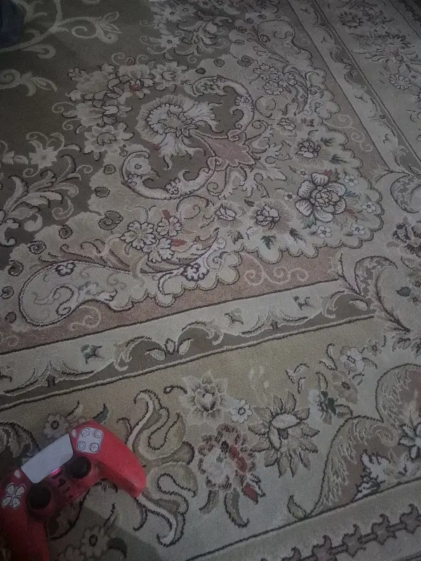 همخونه خانم