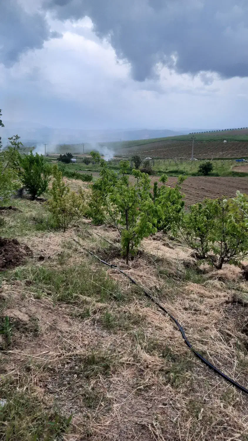 باغچه