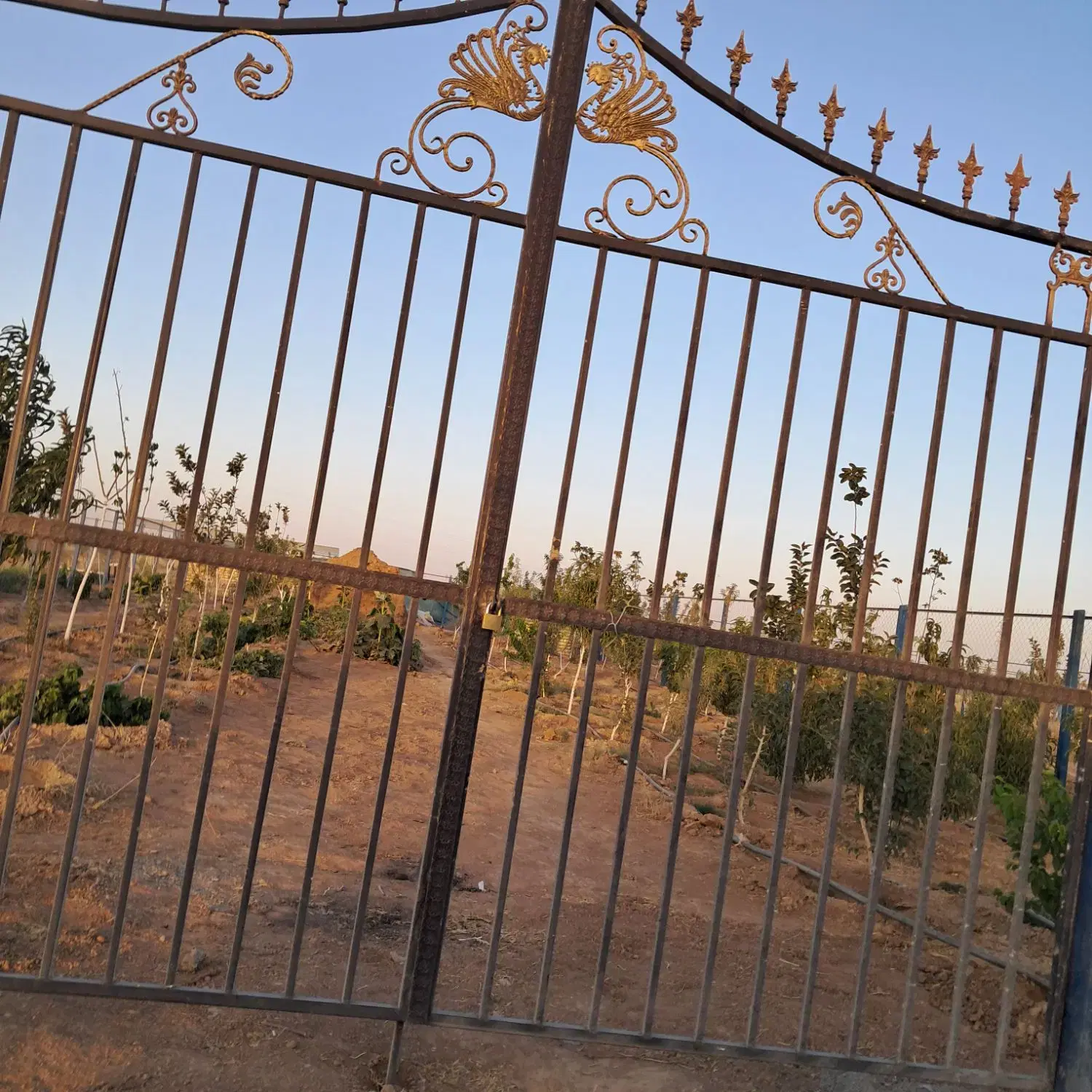 زمین باغی