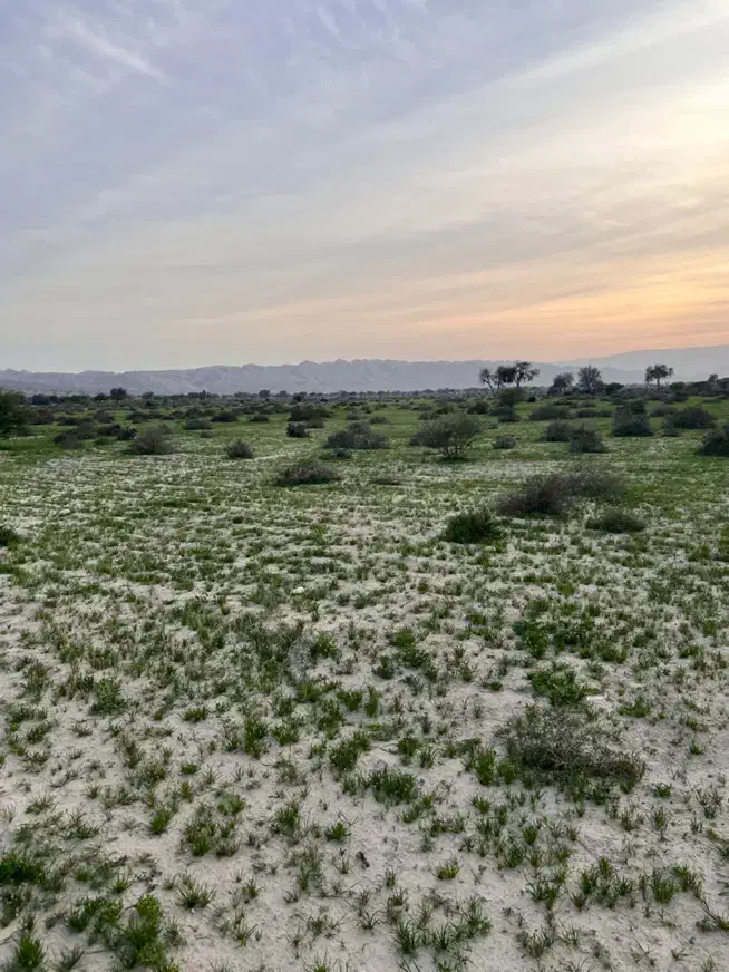 فروش زمین مسکونی ۲۰۰ متری بندرچارک