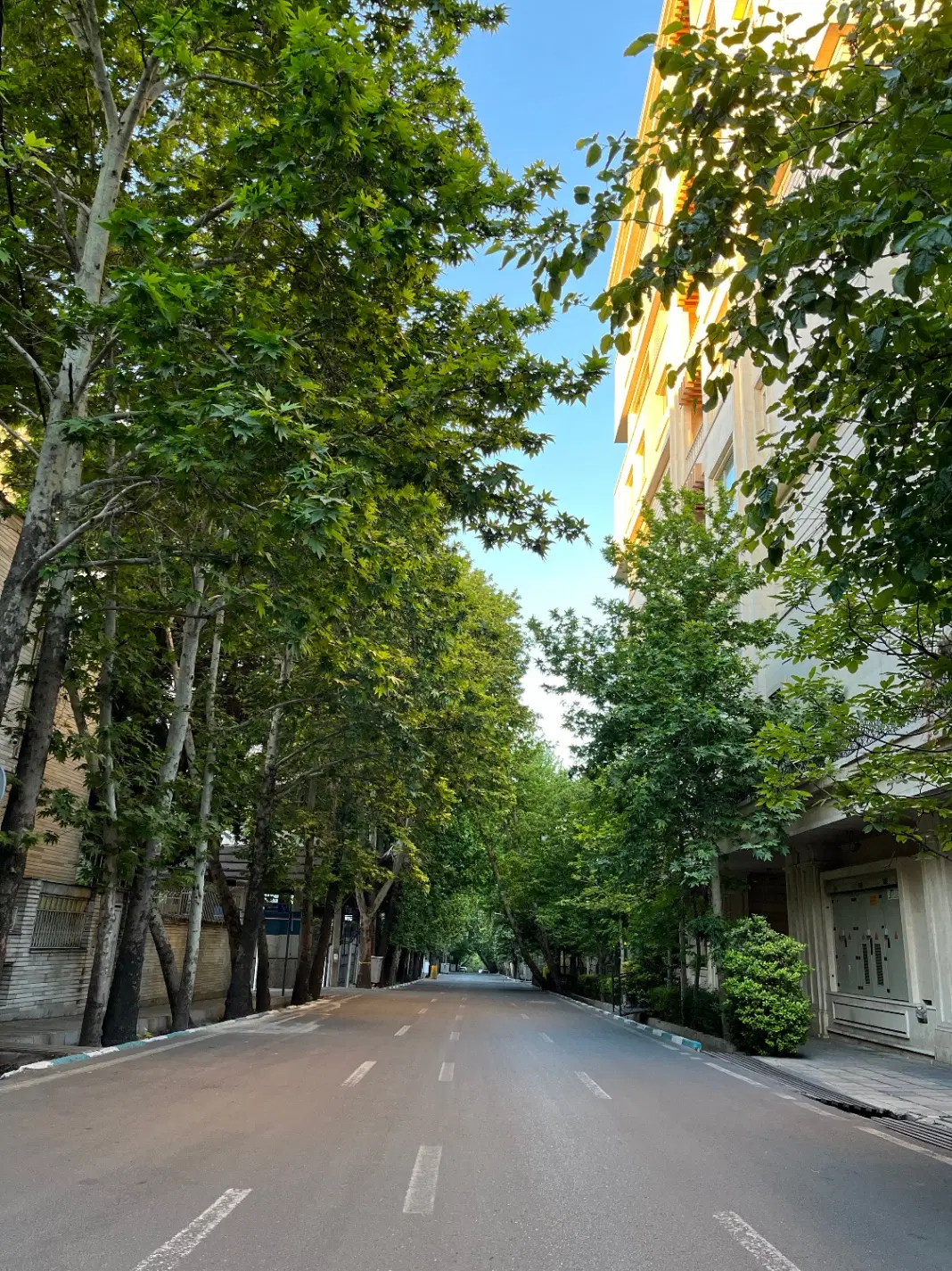 اجاره واحد مسکونی یکخوابه