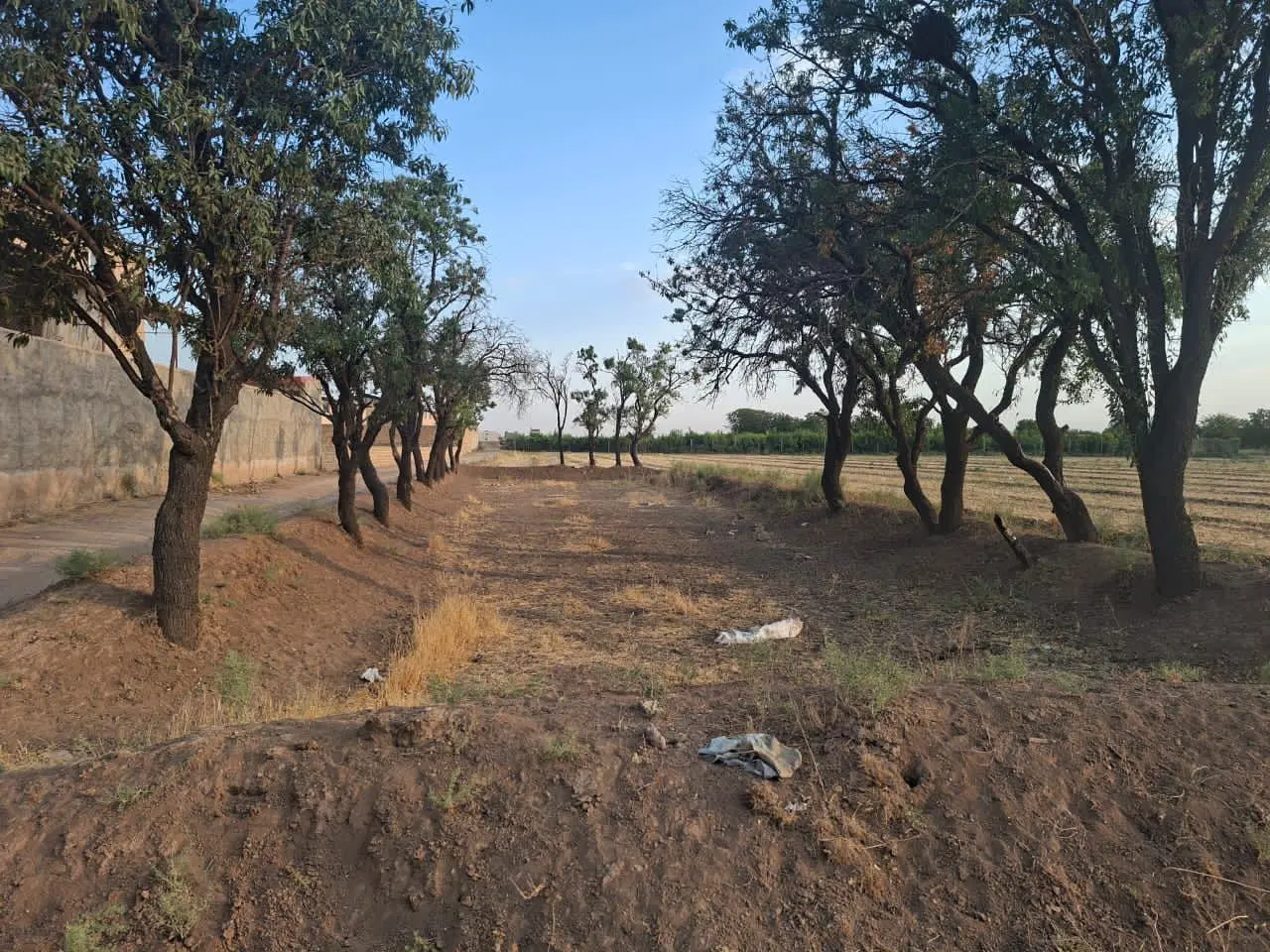 زمین مناسب باغچه در قزوین