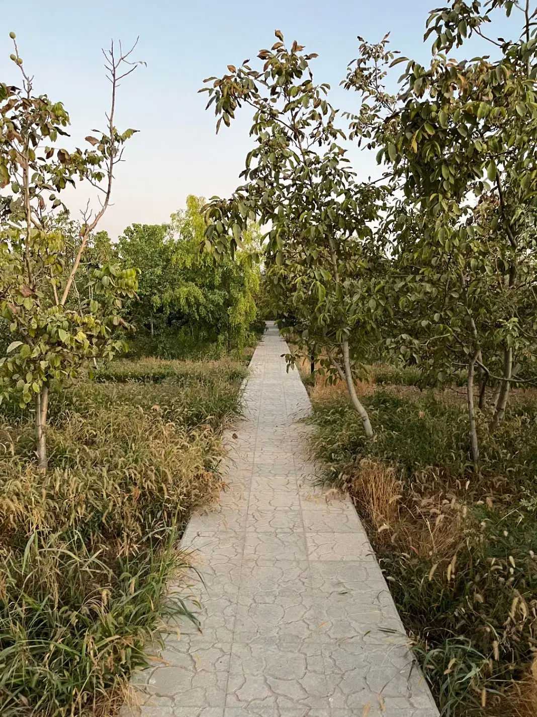 فروش باغ ۱۰۰۰ متر_کردان_کوهسار_تهاتر