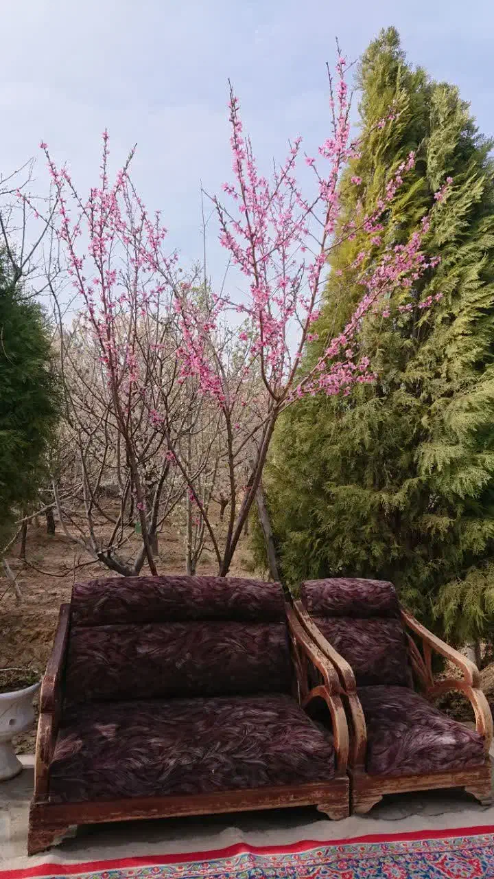 فروش خانه باغ