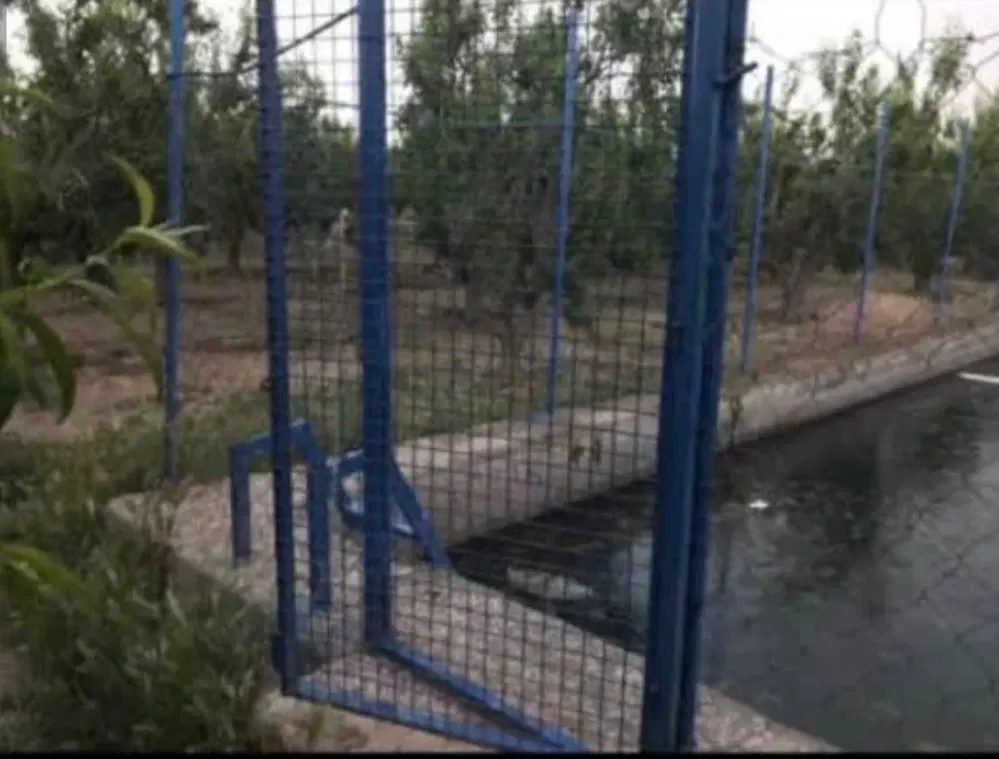 ۵۳۵ متر باغچه در تنکمان