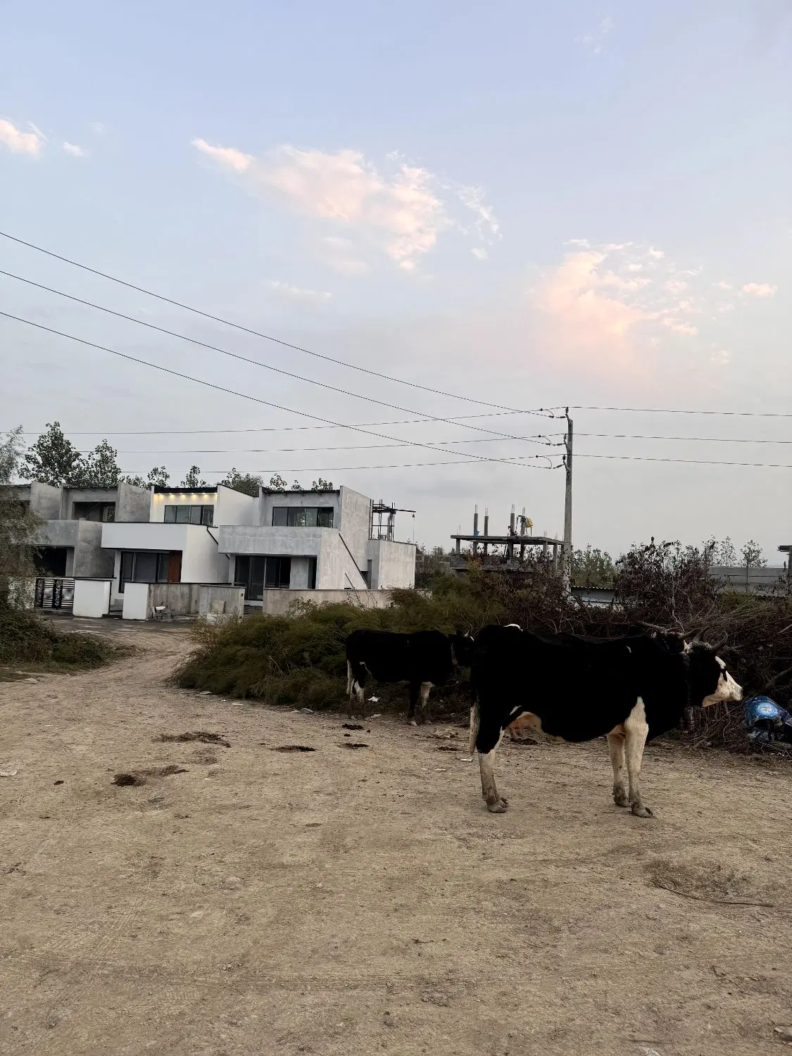 زمین شخصی در لوکیشن بکر شمال