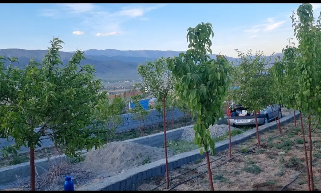 ۳۳۵متر باغ سربندان