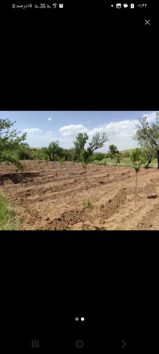 آبشینه زمین باغی