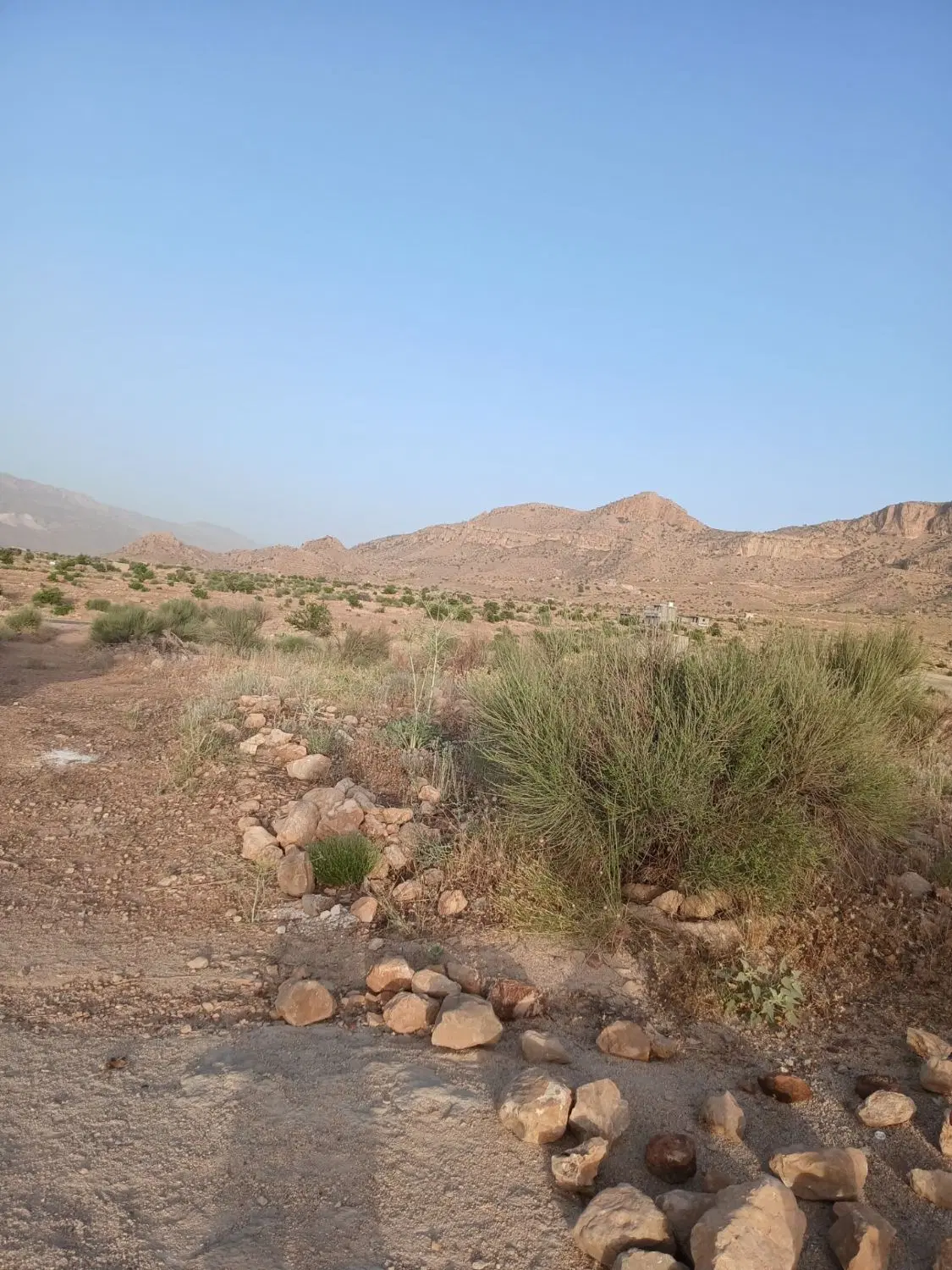 ملک بیابان