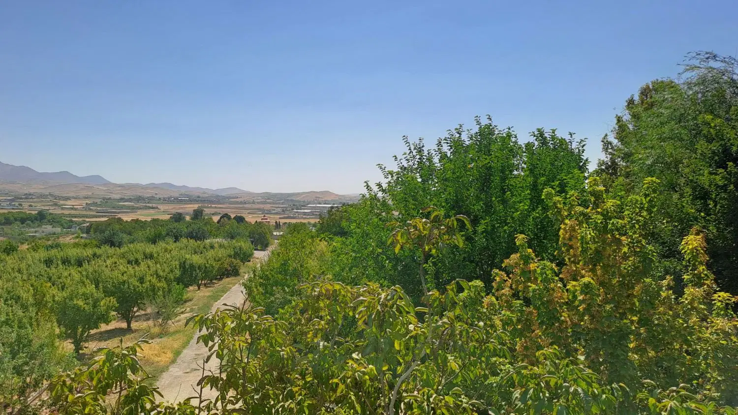 باغ سند دار خان زنیان شیراز