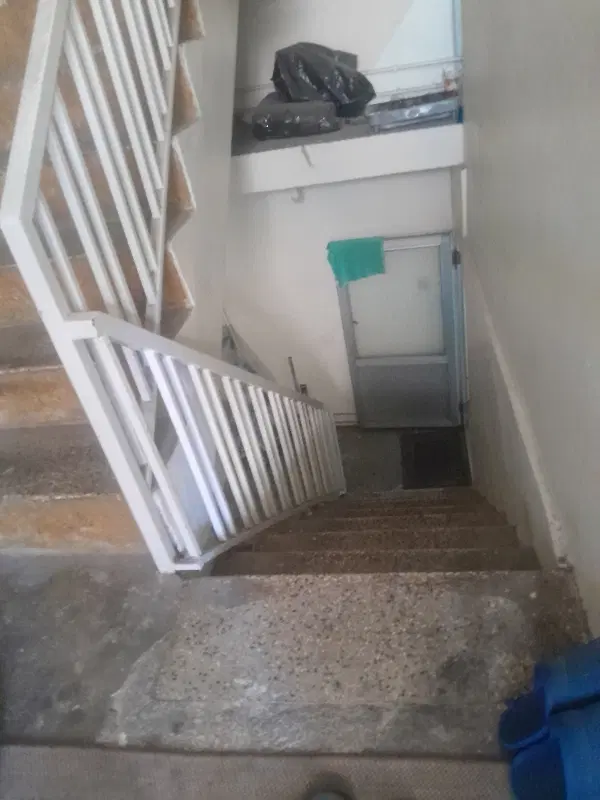 همخانه