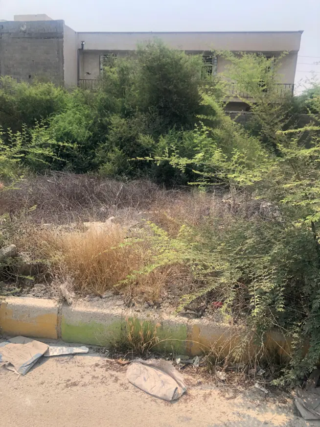 زمین مسکونی ۳۳۳متری سند تک برگ