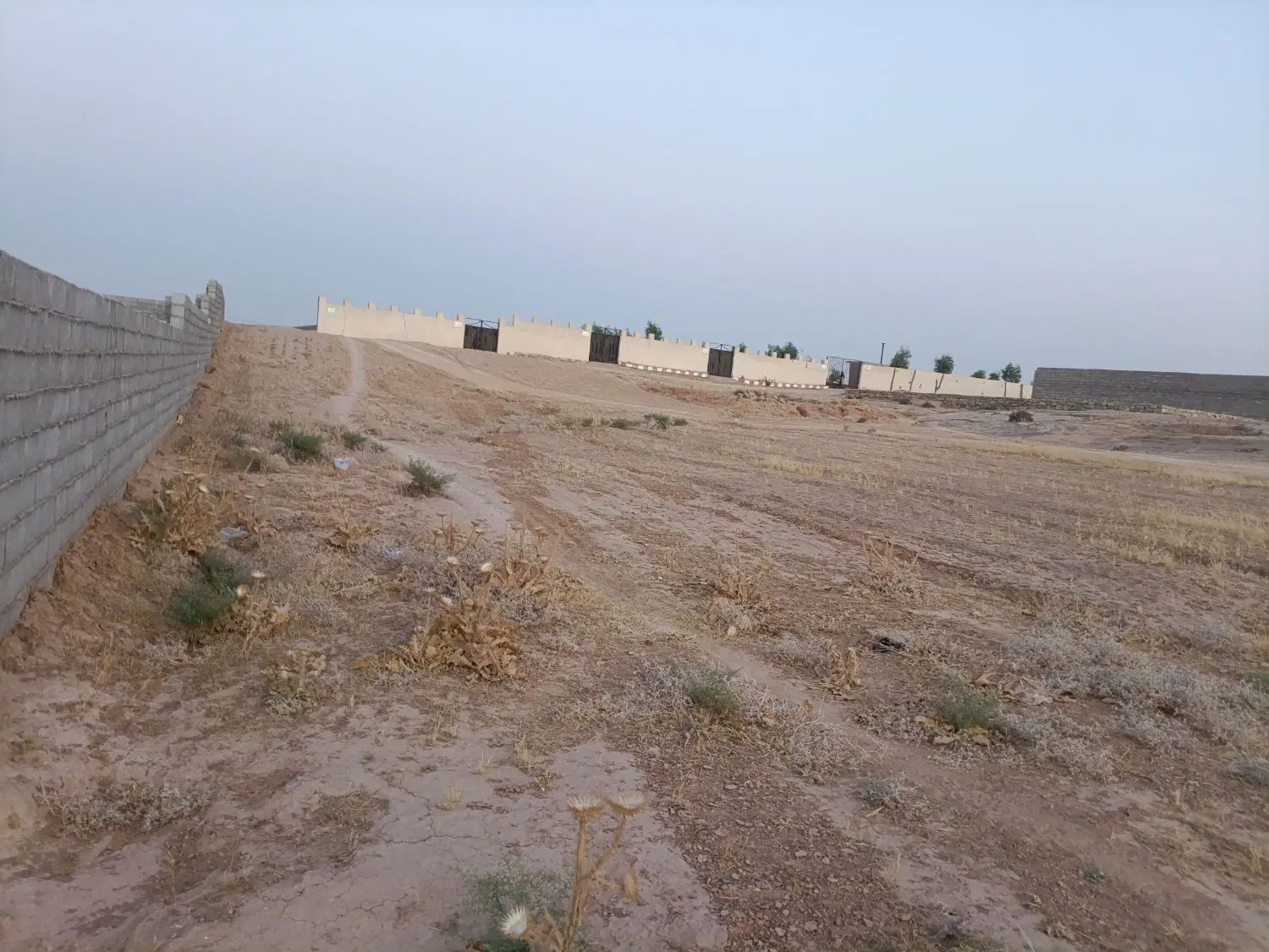 زمین تخته اناری