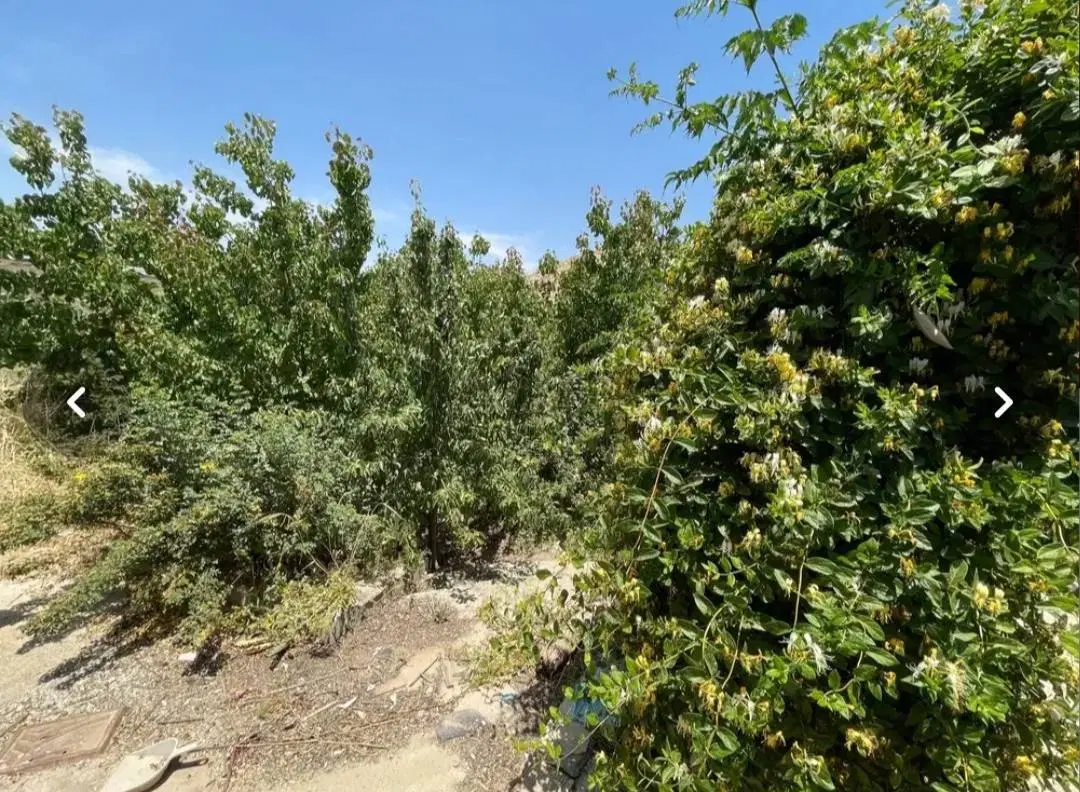 ویلا باغ در روستای توریستی ترشاب شهرستان دورود