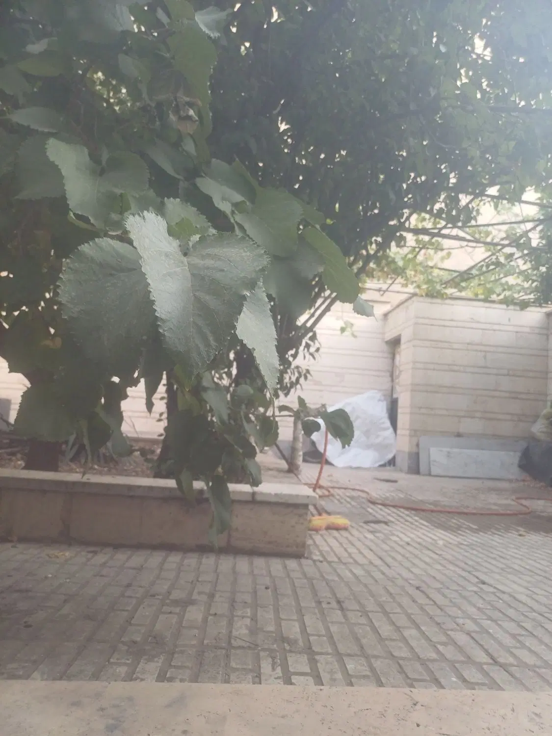 ۹۰متر دوخوابه ۵ پله به زیر با حیاط