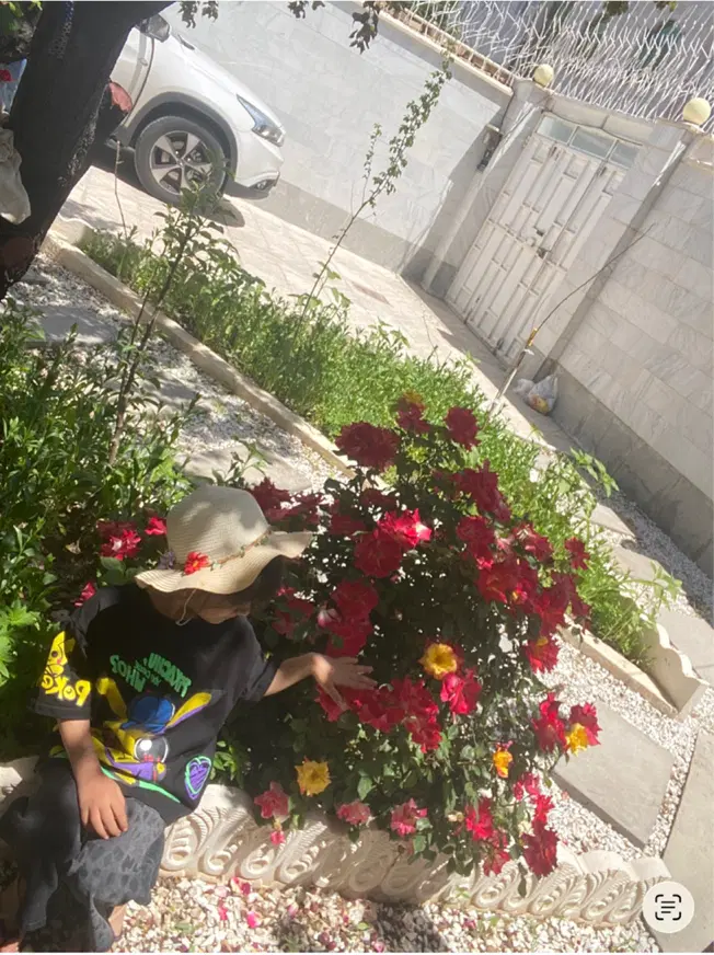 ویلایی