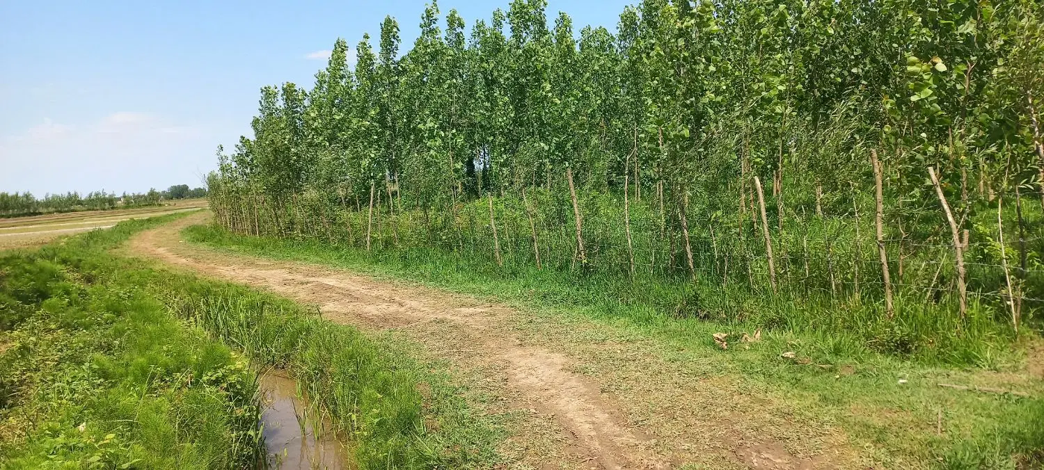 فروش زمین باغی ۳۰۰۰ متر