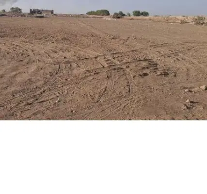 زمین در ابوجلال جنوبی فلاحه