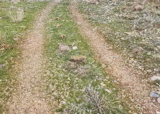 زمین فروشی