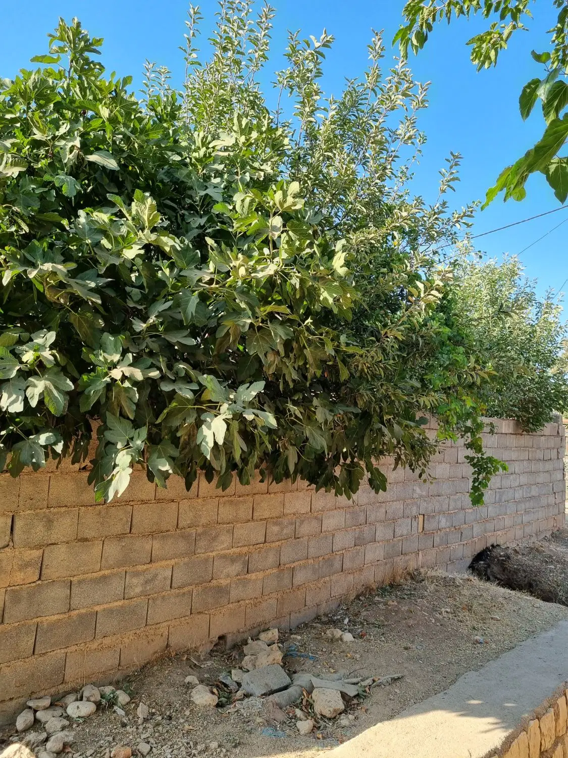 فروش یک باب خانه ویلایی دهنو میلاس