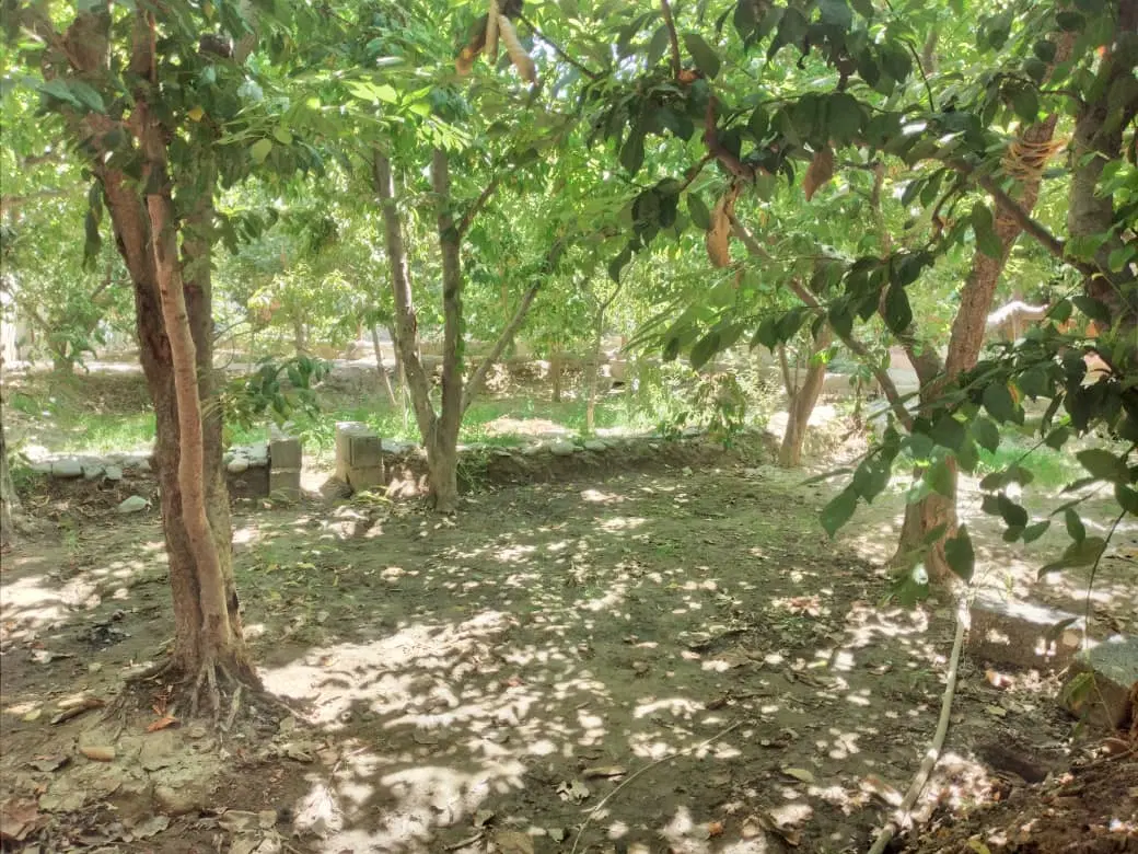 ۵۰۰ متر باغچه چهار دیواری