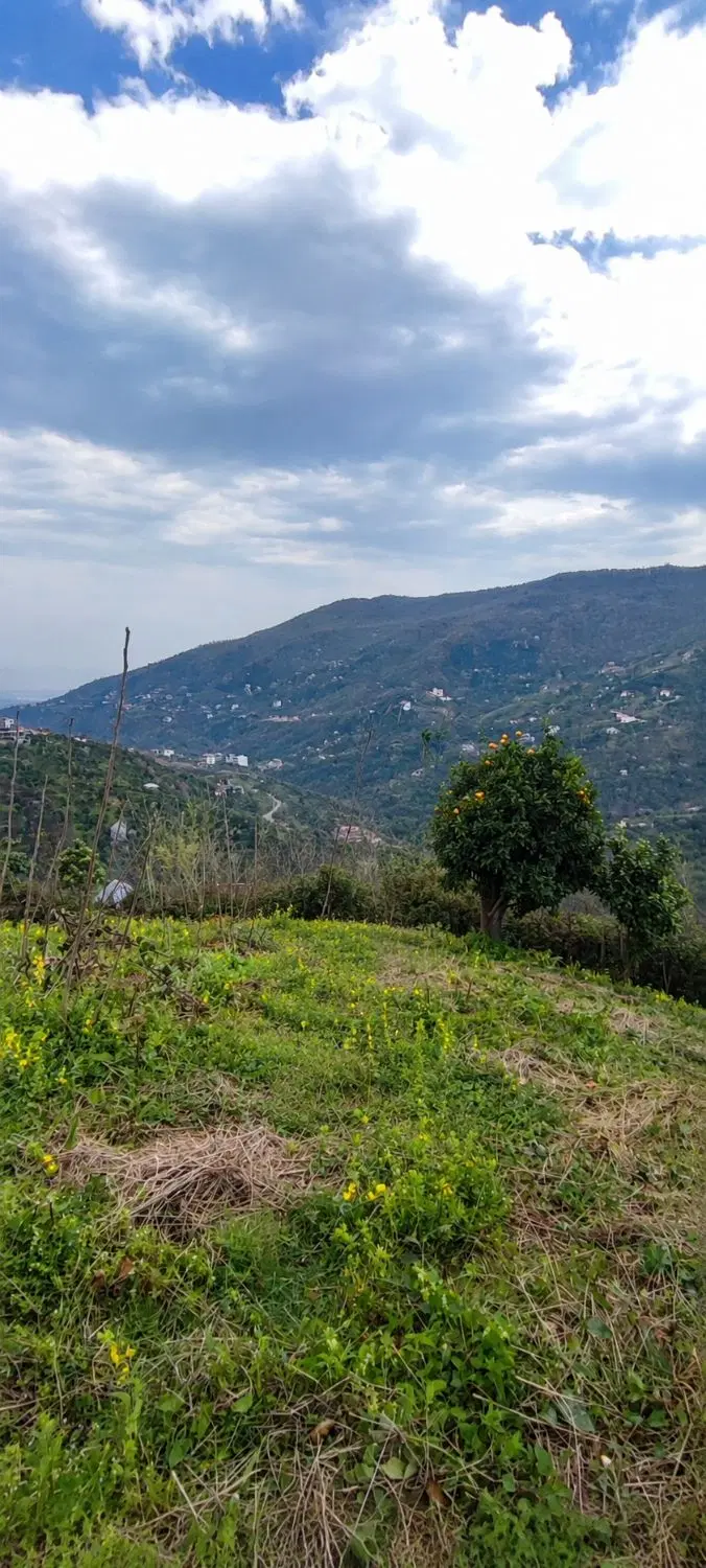 زمین روستایی