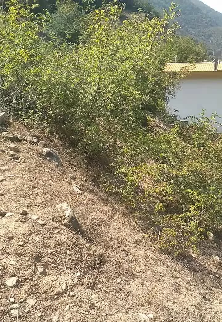 ۲۴۵متر زمین دوبر ویو ابدی