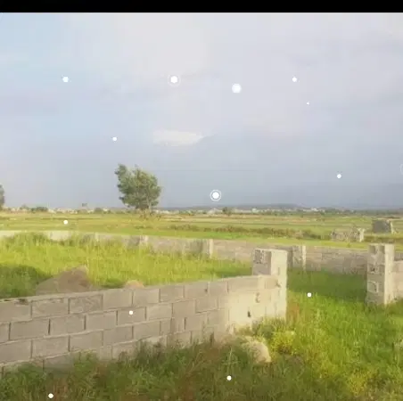 دارخوین بصیرت1
