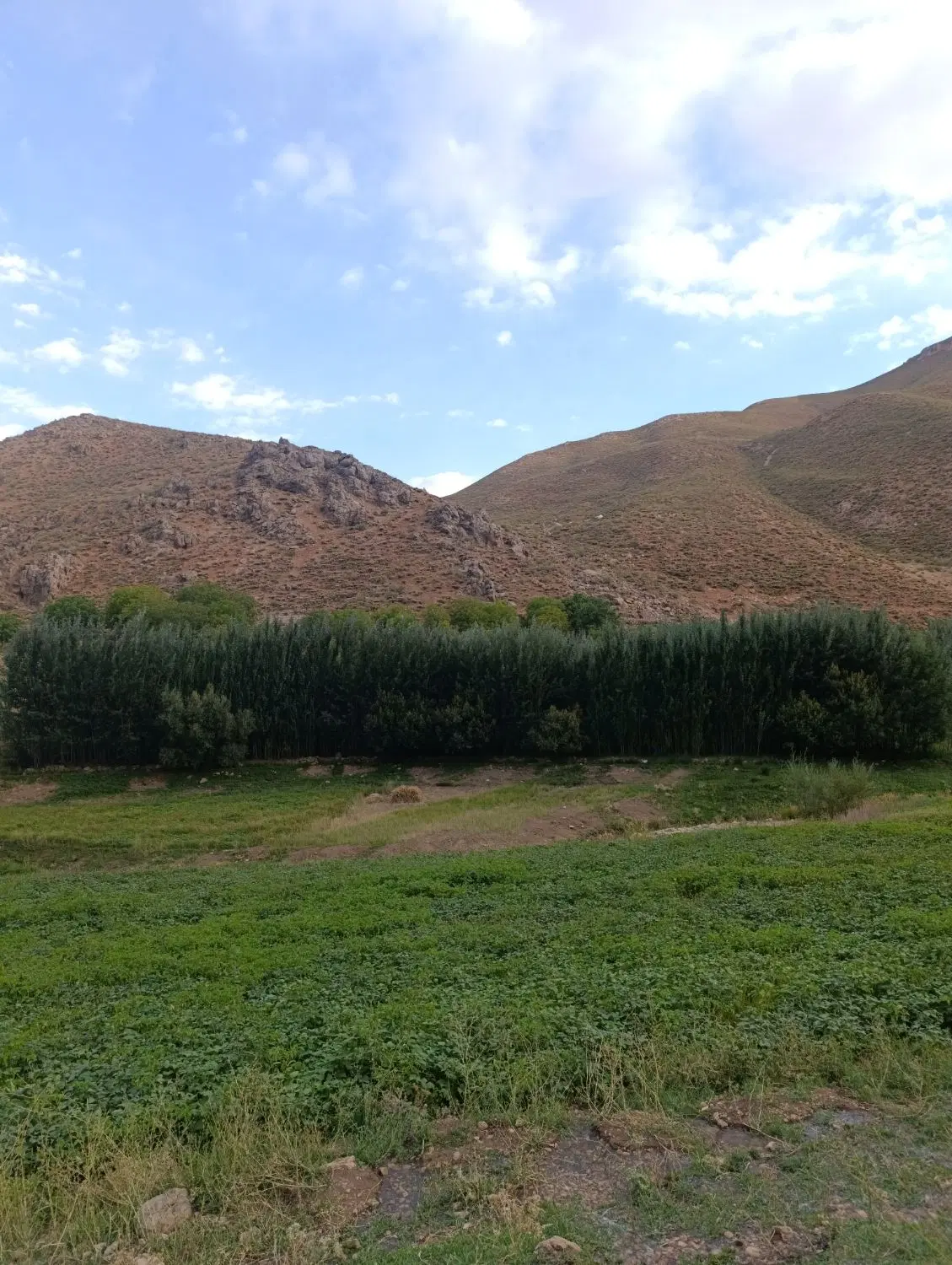مستاجر