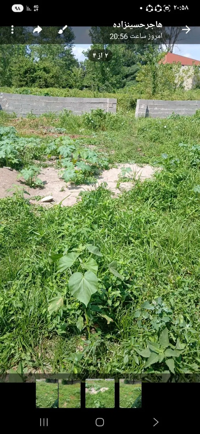 زمین مسکونی۲۵۰متر برخیابان اصلی