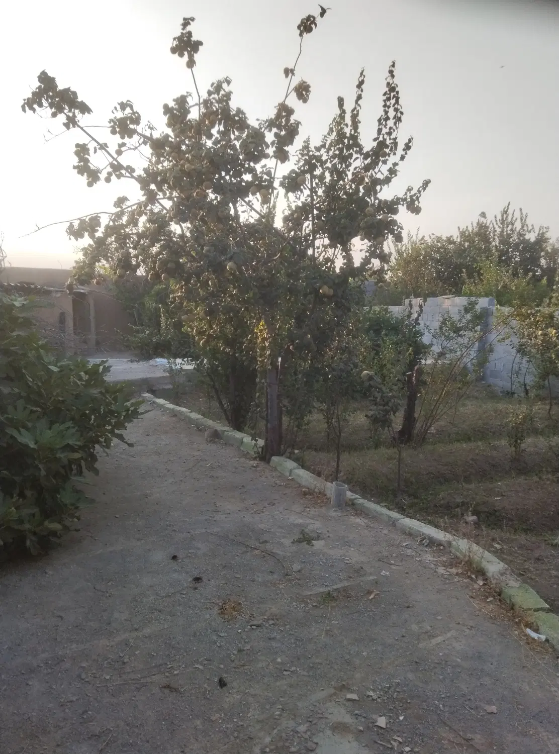 فروش باغ در زرین شهر