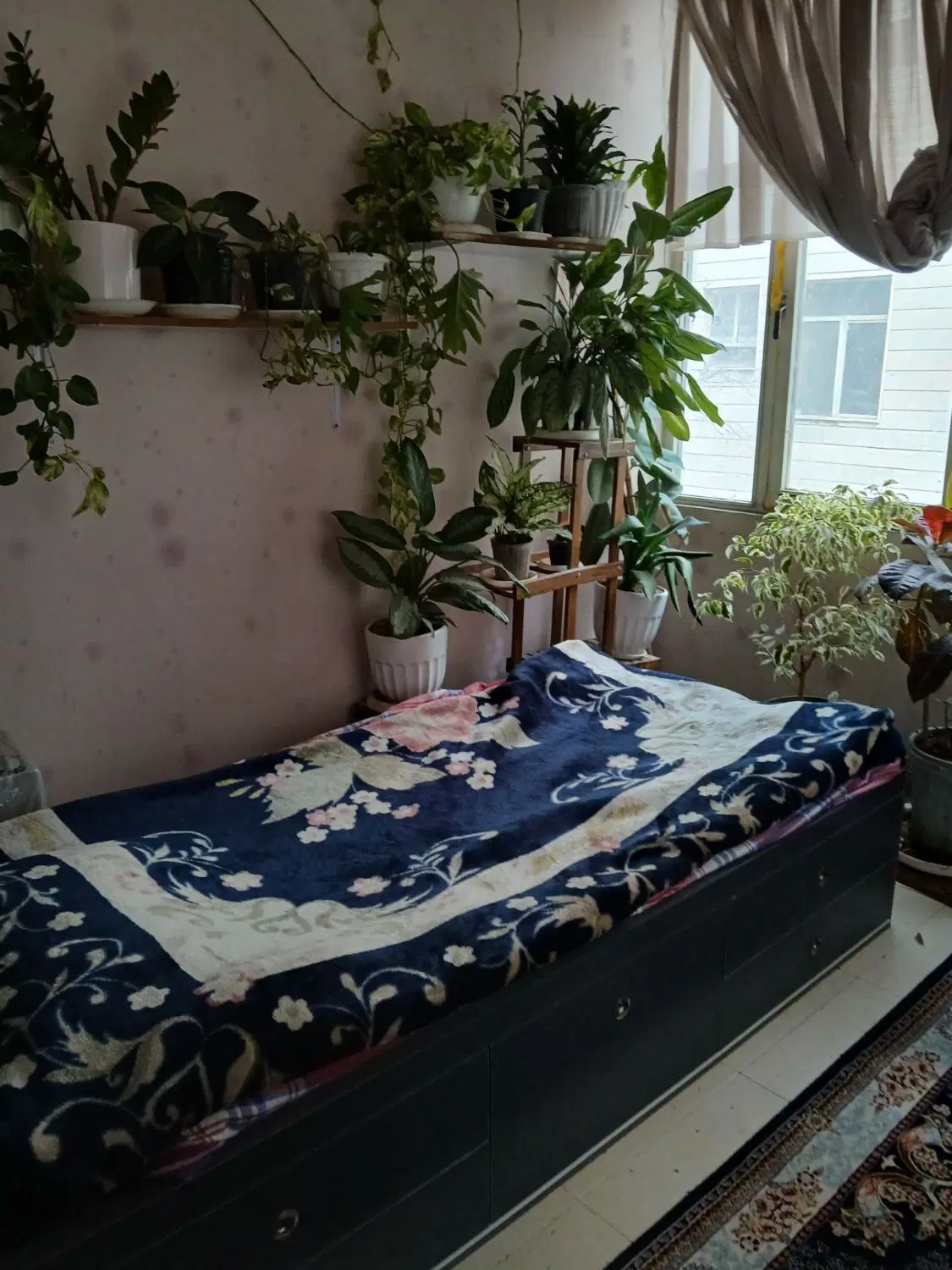افسریه جنوبی