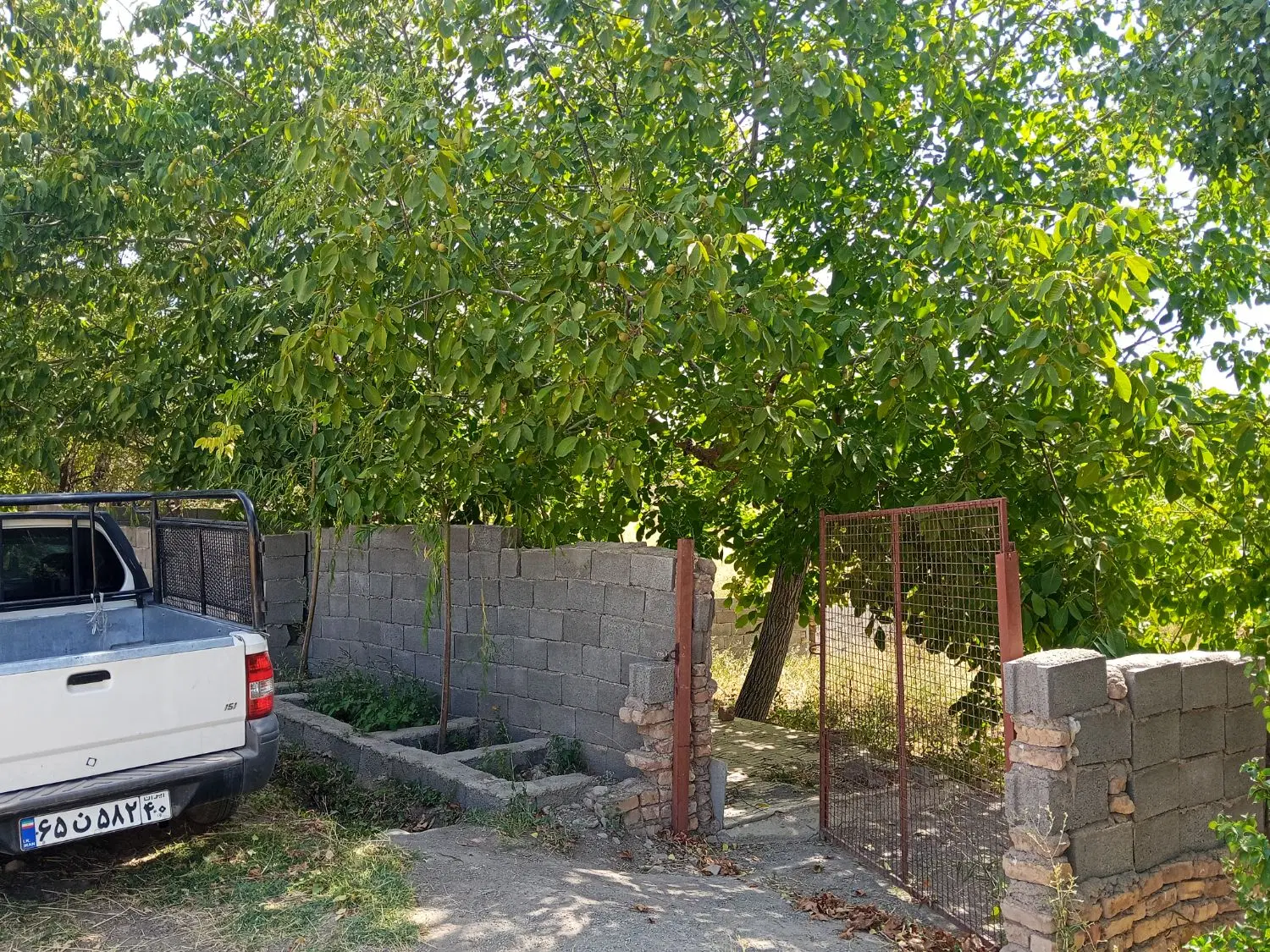 فروش باغچه