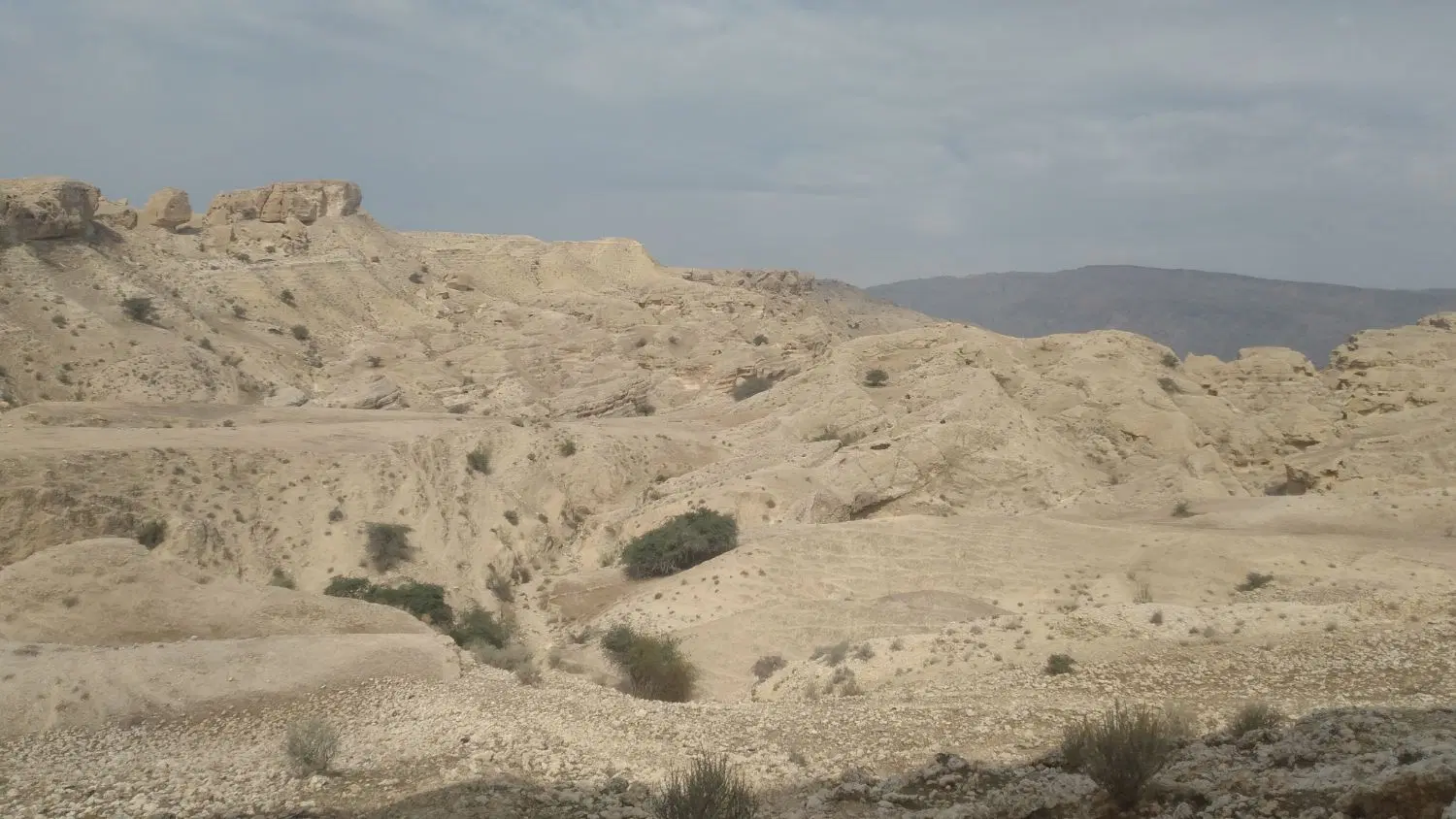 زمین مسکونی بادوله