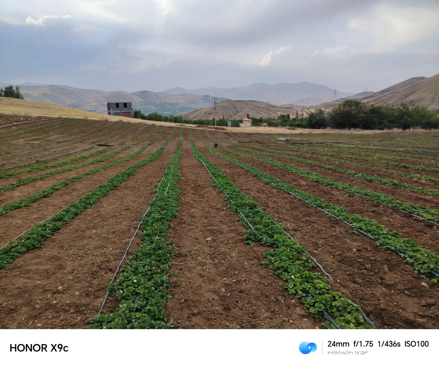 زمین کشاورزی، گلخانه، صنعتی، سردخانه