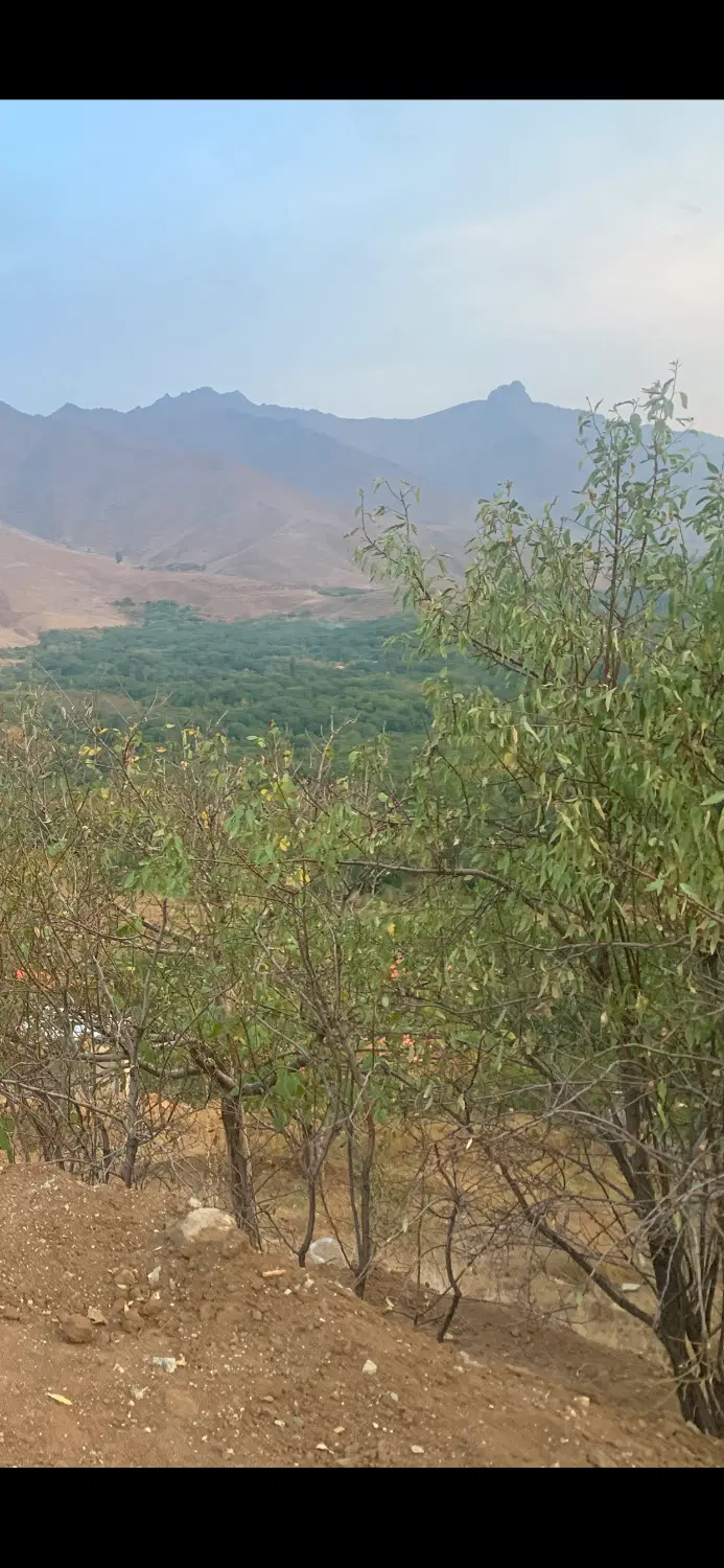 زمین باغ   امامزاده کوه