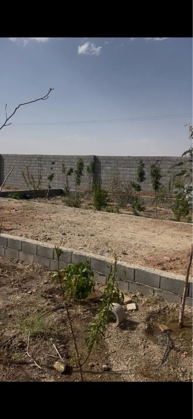 باغ نیمه ساز