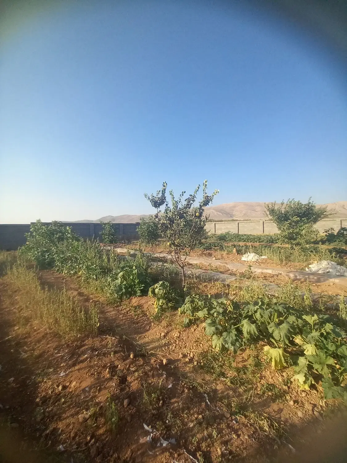 زمین با آب قلات آبپرده